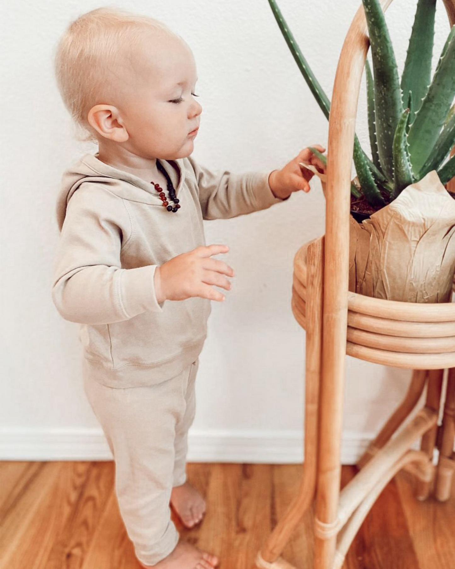 Organic Hooded Pullover and Jogger Set | Clay