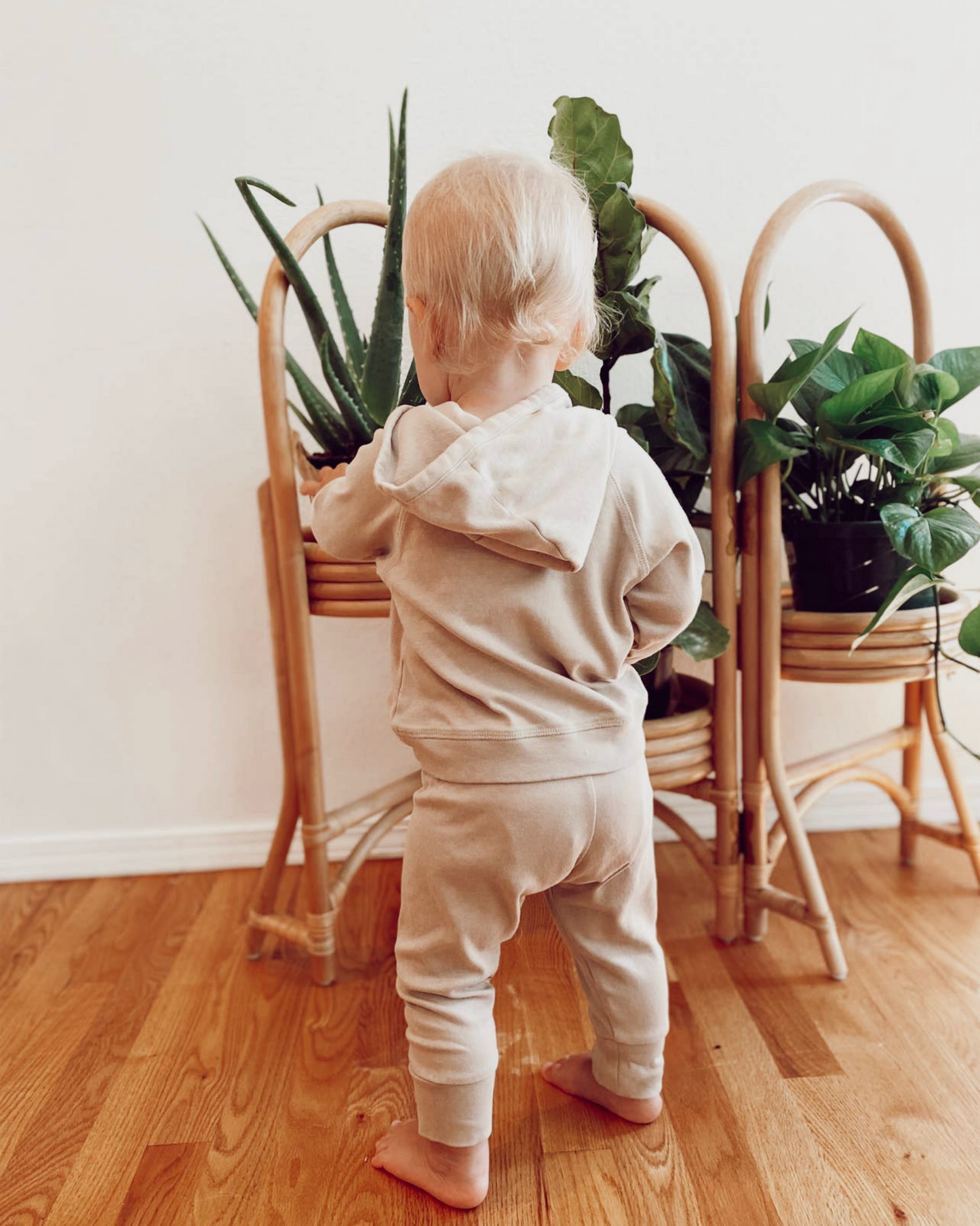 Organic Hooded Pullover and Jogger Set | Clay