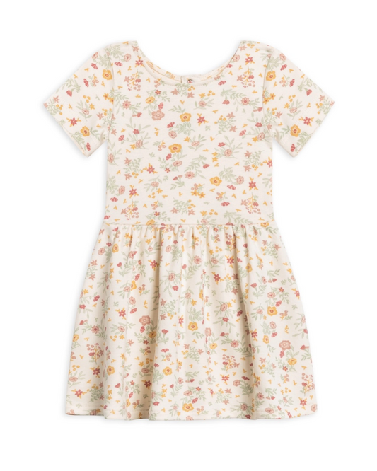 Stella Swing Dress
